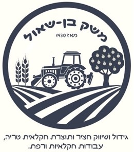משק בן שאול